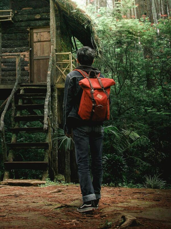 Rhoncus aenean velelit scelerisque mauris